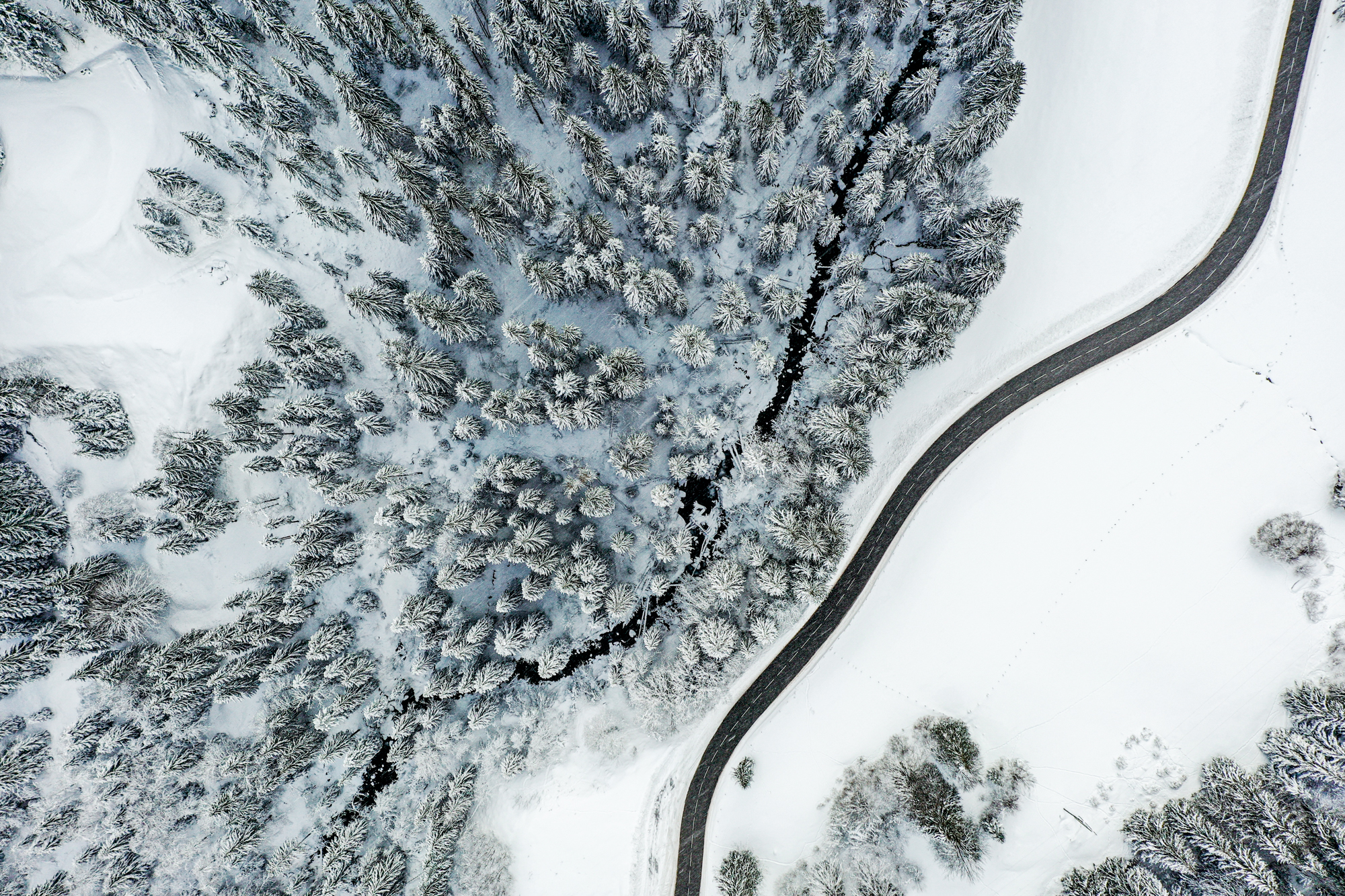 contraste de la forêt et de la plaine avec de la neige avec le drone pour de la photographie aérienne