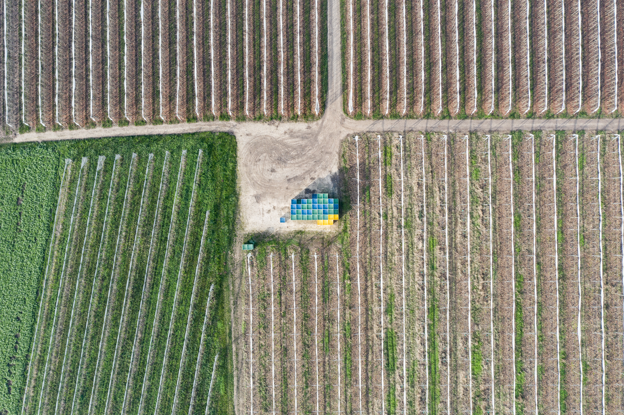 Image aérienne saisissante d'un domaine agricole